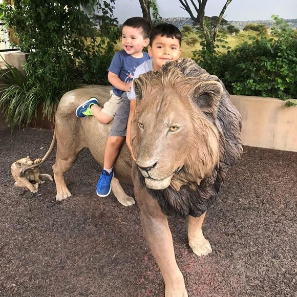 Meet your Posher, Sandra - Picture 1 of 1